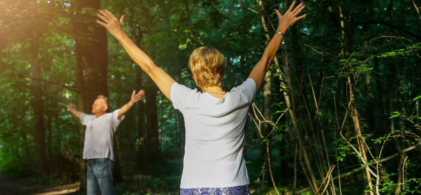 Forest bathing at Nature Hotel Waldklause main image